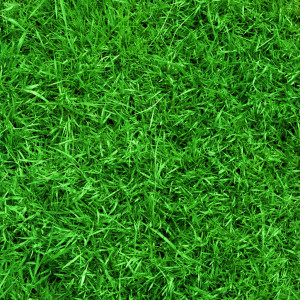 Swift- football-field-grass-background.jpg